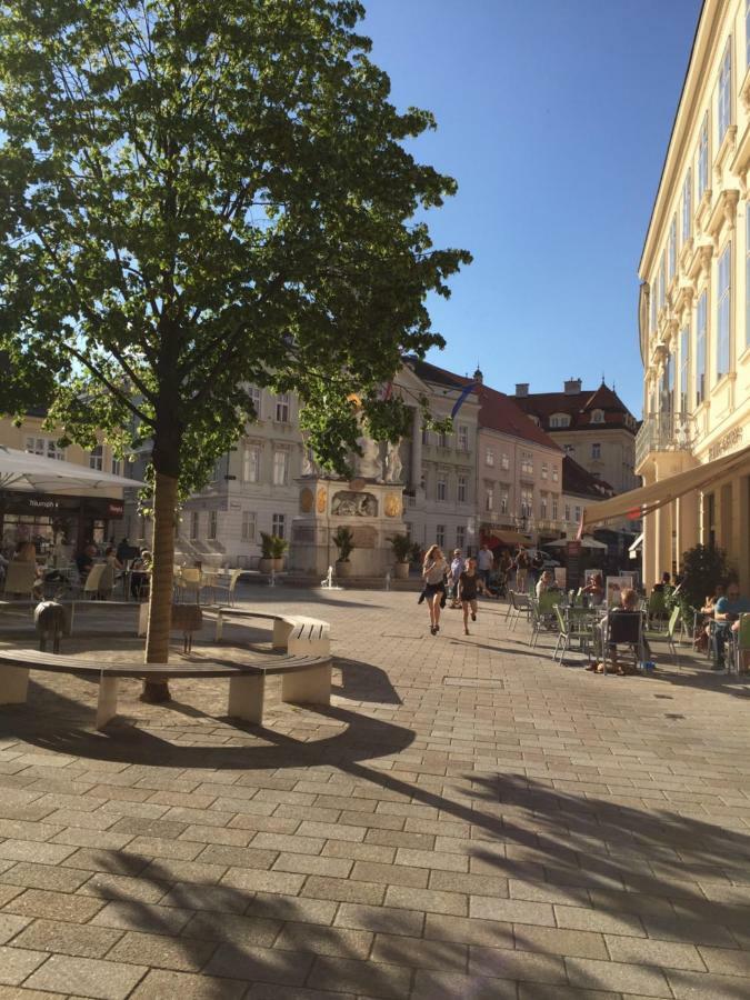 Terrasse Wohnungen Mit Parking In Zentrum Baden Exterior foto