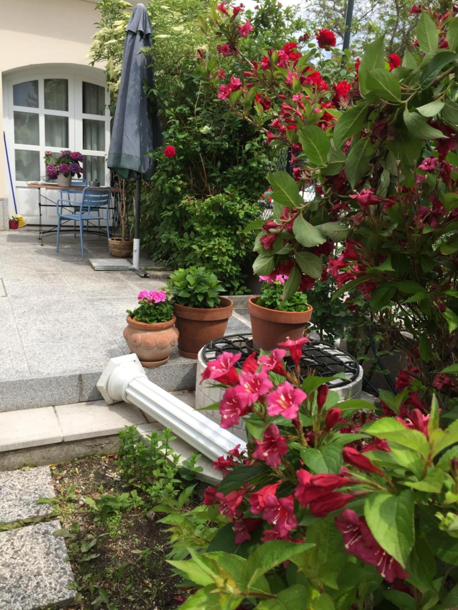 Terrasse Wohnungen Mit Parking In Zentrum Baden Exterior foto